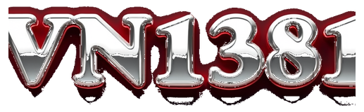 vn1381 logo
